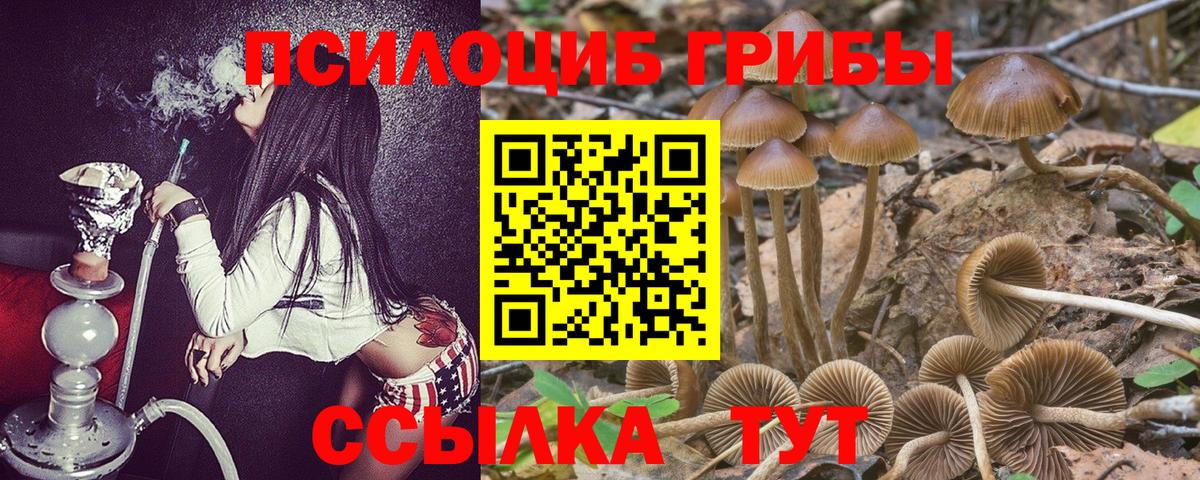 Псилоцибиновые грибы Psilocybine cubensis Алатырь